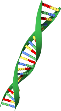 DNA